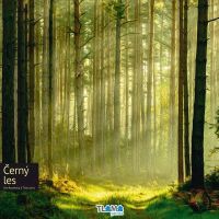 SOUTĚŽ o deskovou hru ČERNÝ LES