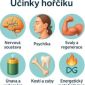 Soutěž o prémiovou směs hořčíků Botanic MagnUp