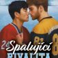 Soutěž o legendární hokejovou romanci Spalující rivalita