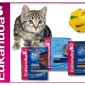 Soutěž o krmivo pro kočky a psy od Eukanuba a IAMS