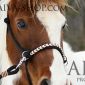 „TEN MŮJ“ aneb soutěž o AIVA provazové ohlávky pro koně