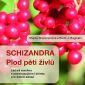 Vyhraje knihu o léčivé bylině: Schizandra – Plod pěti živlů
