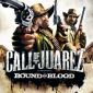 100.Týdenní turnaj o PC hru Call of Juarez 2