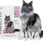 SOUTĚŽ o super prémiové krmivo pro vybíravé kočky