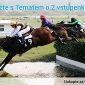 Vyhrajte dvě vstupenky na Velkou Pardubickou 2014